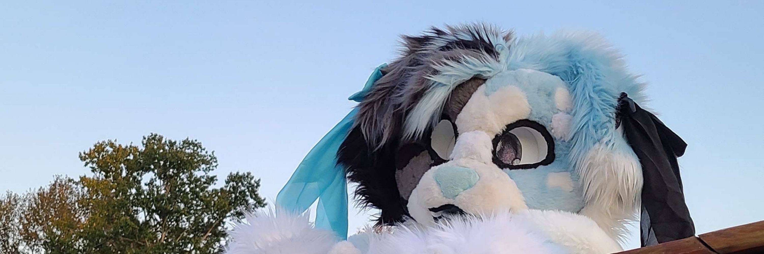 💙BluRakūn🩷