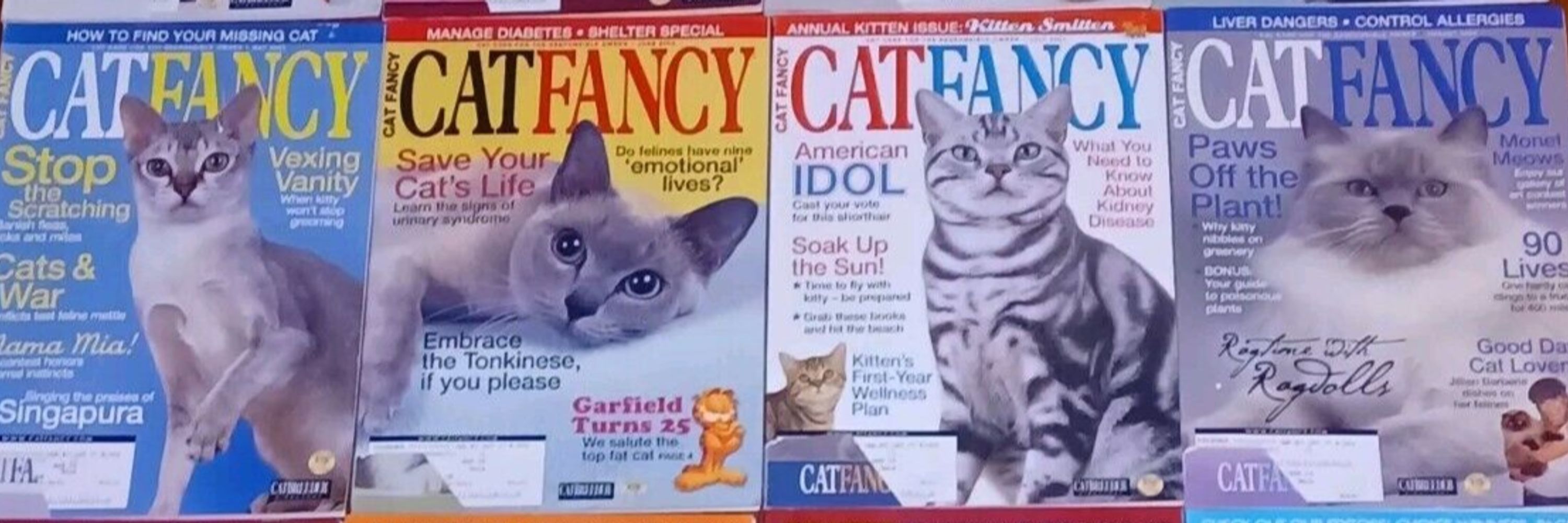 Cat Fancy Magazine