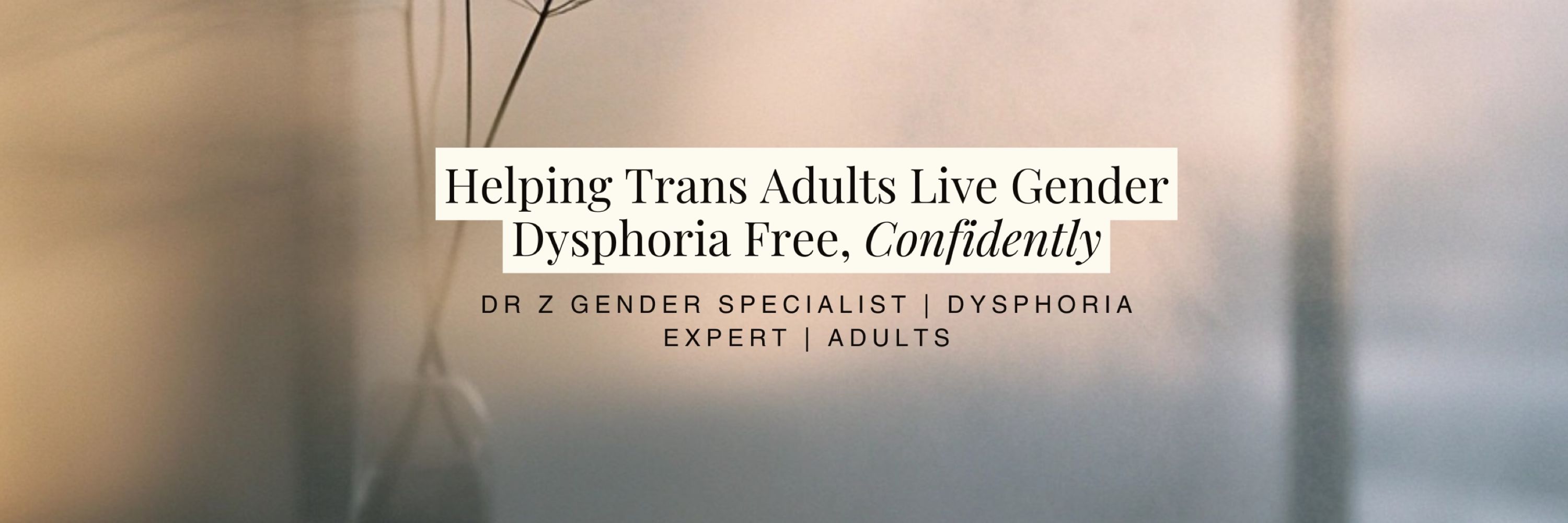 Dr Z Gender Specialist & Dysphoria Expert