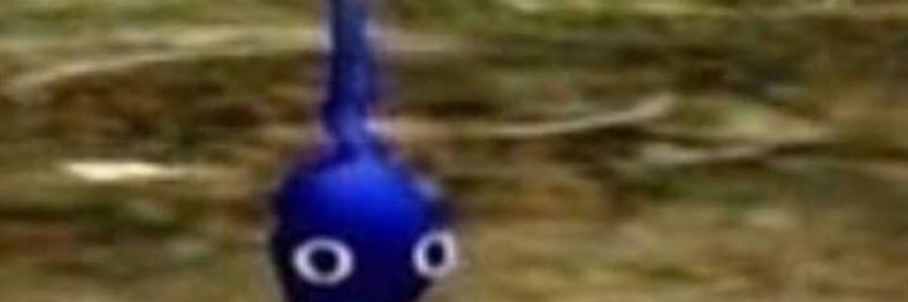 PM