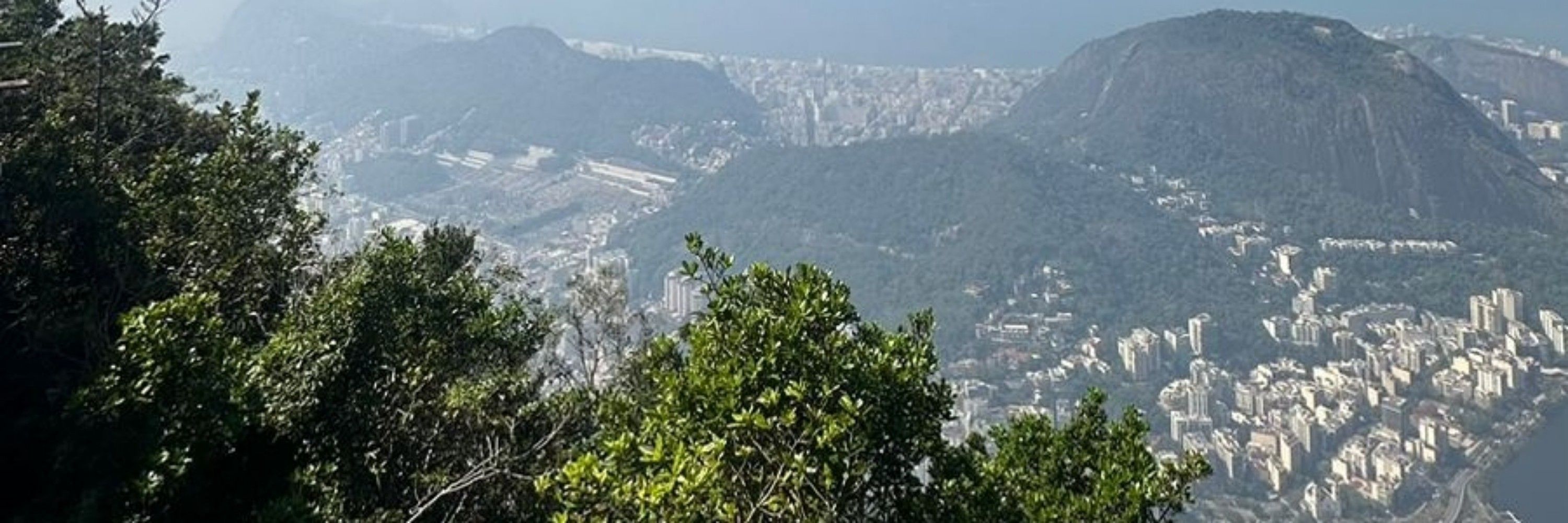 yasminhas