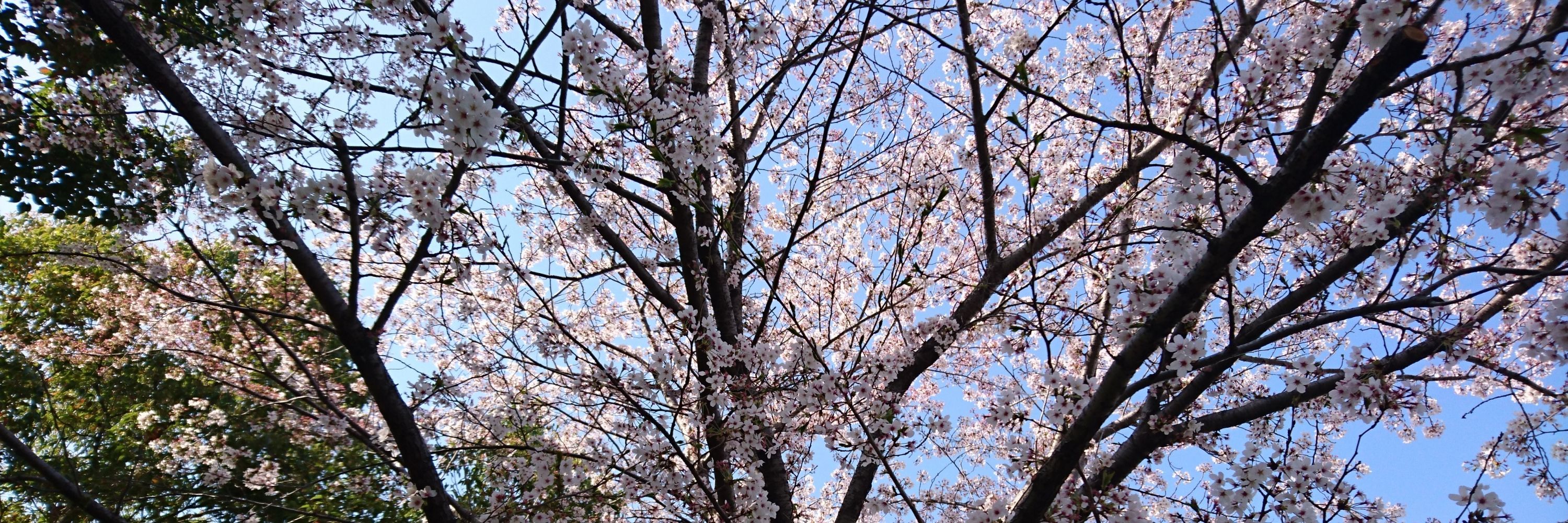 ぜろ