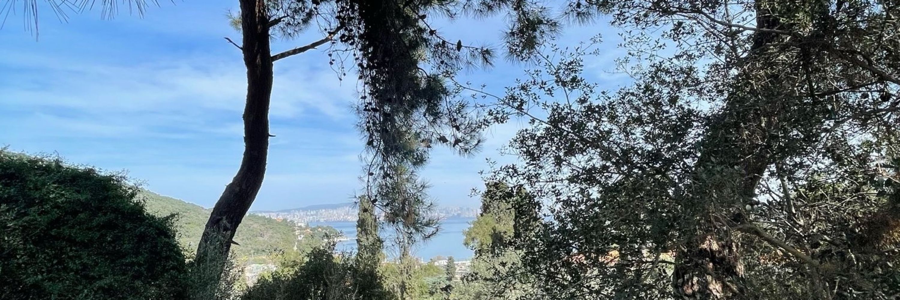 Süheyla Mermutluoğlu