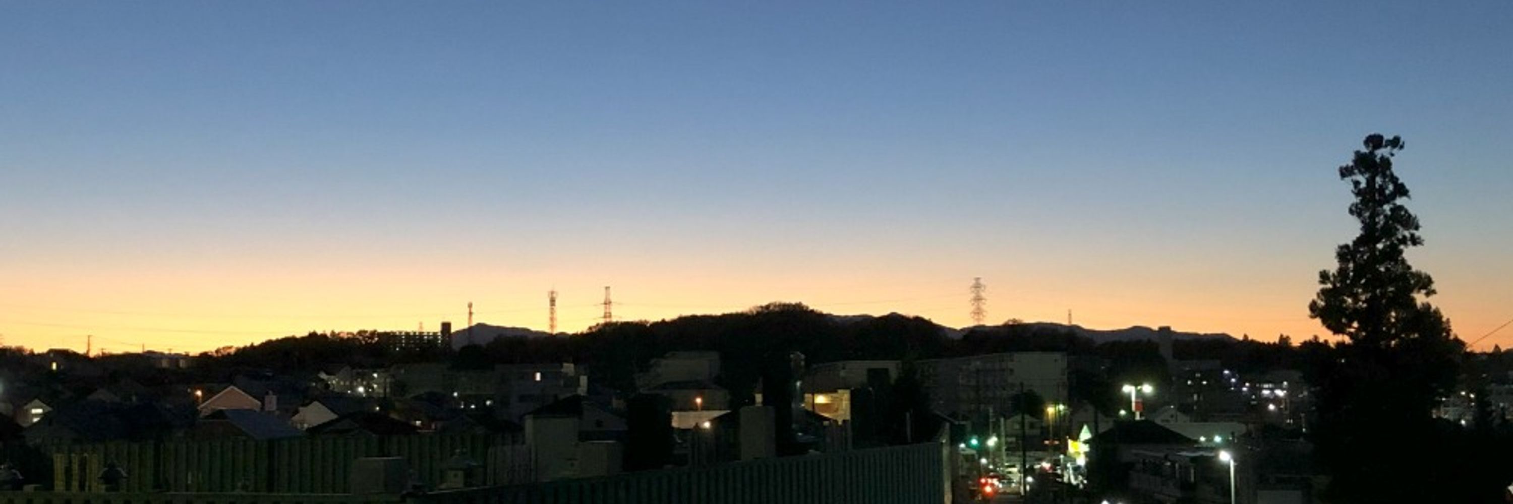 セアカ