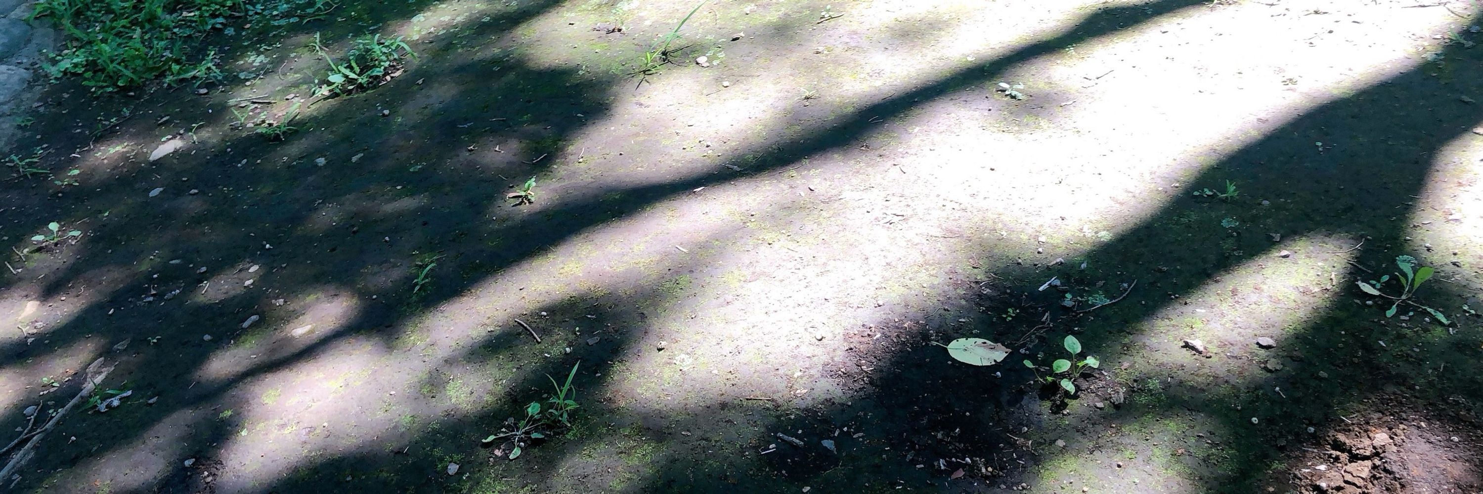 ワ〜