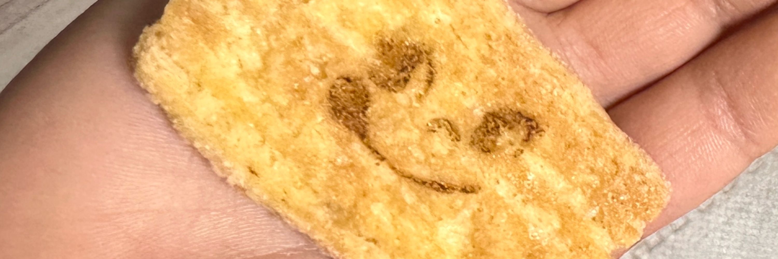 シュリ丸@