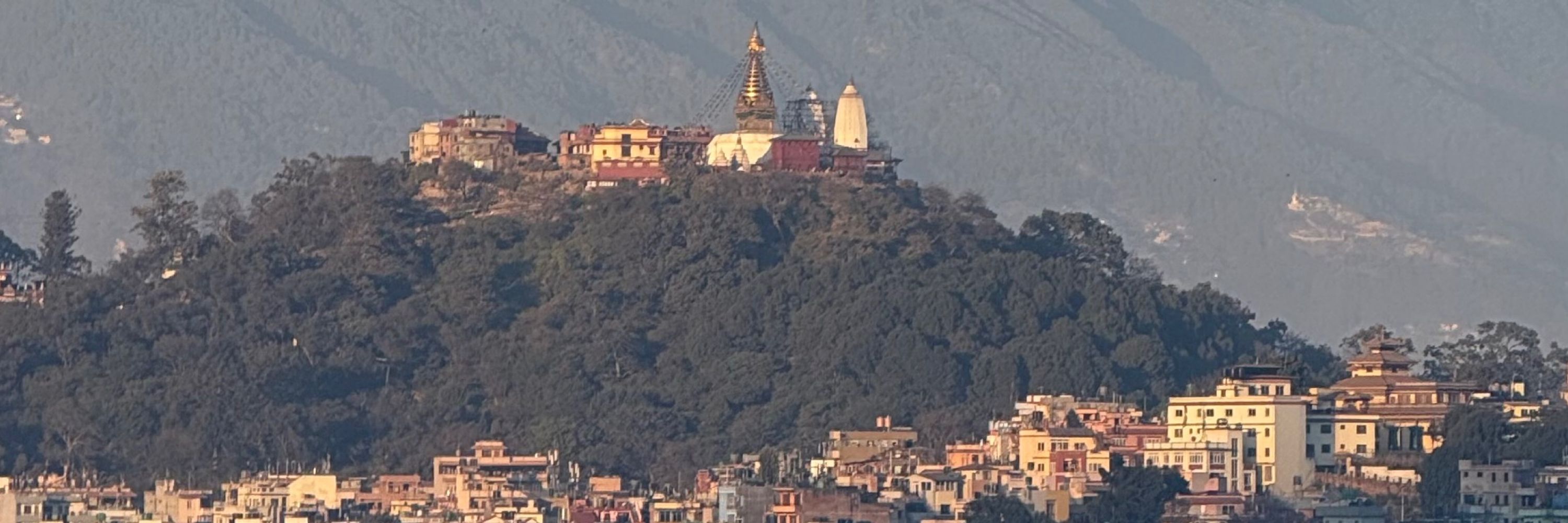 Nyima Dorjee