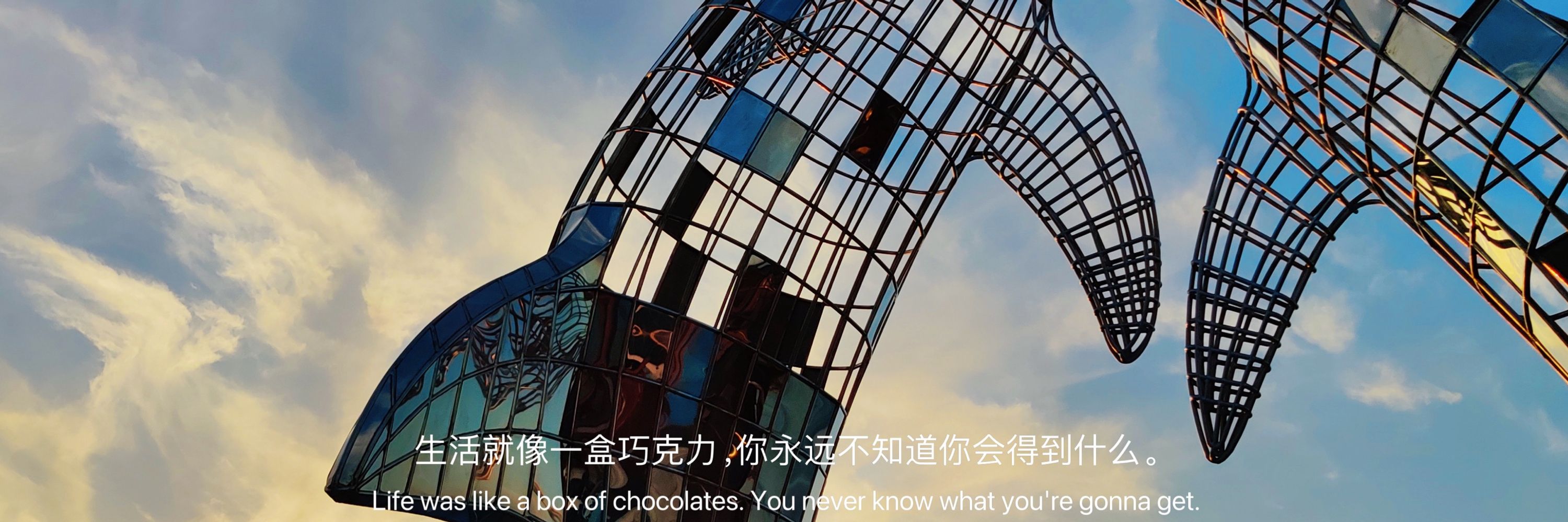 _软小洛
