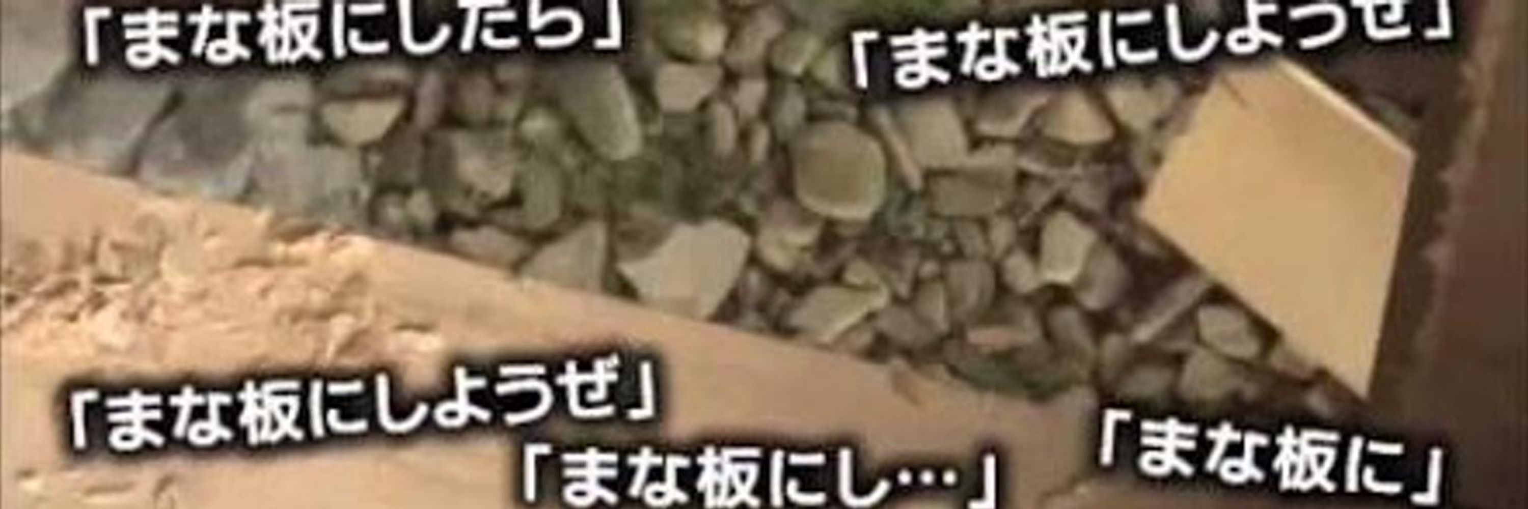 はちこ