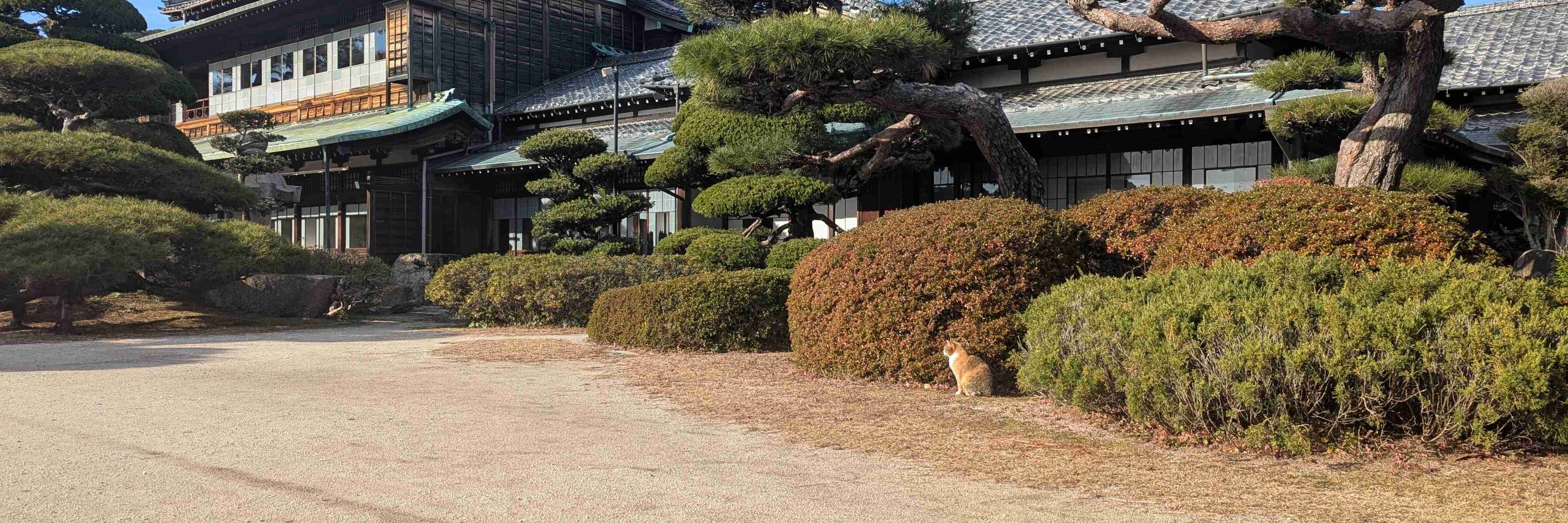 めれう
