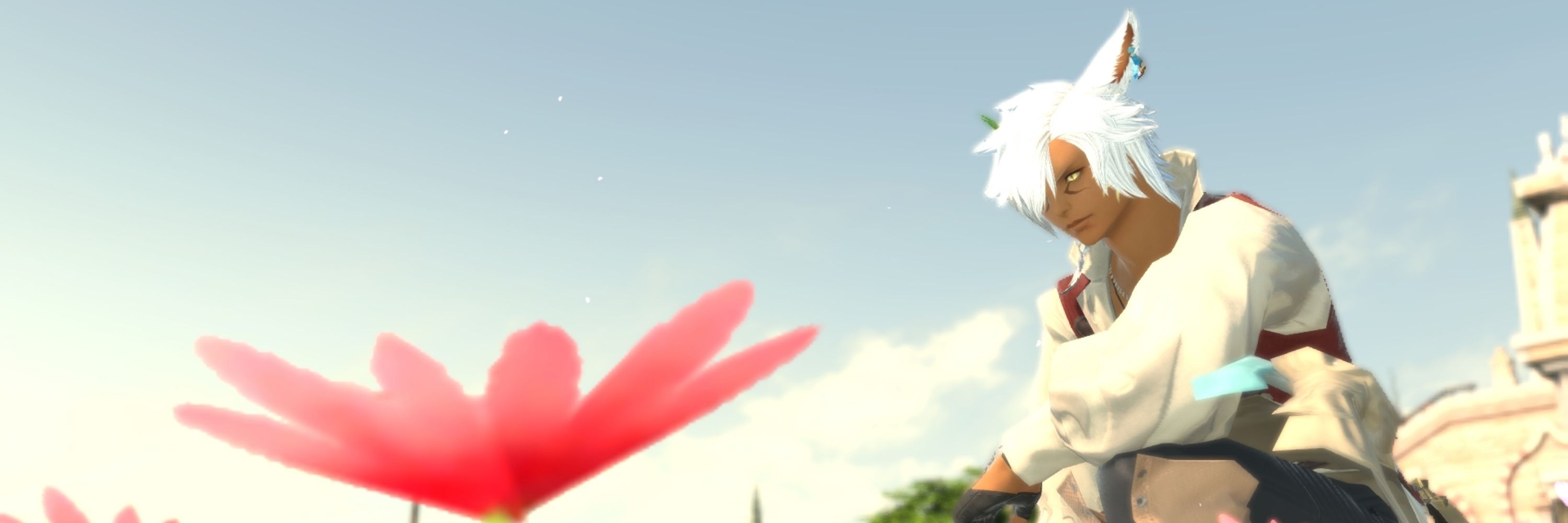 ミカン🍊DQX＆FF14