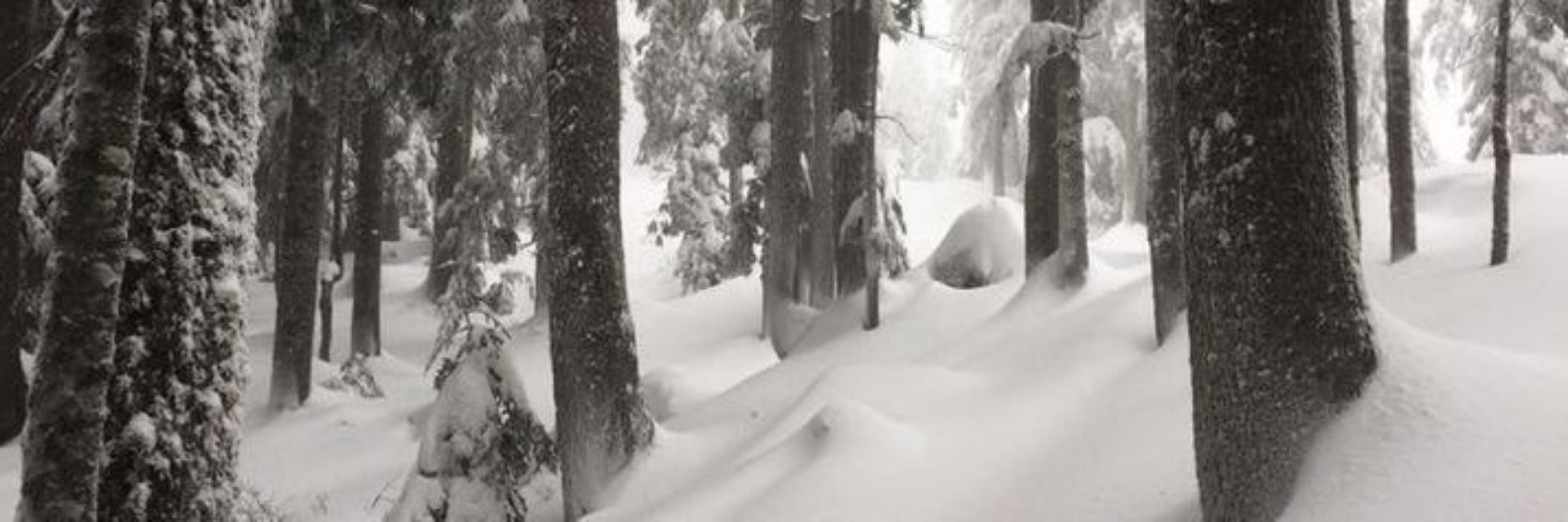 snow