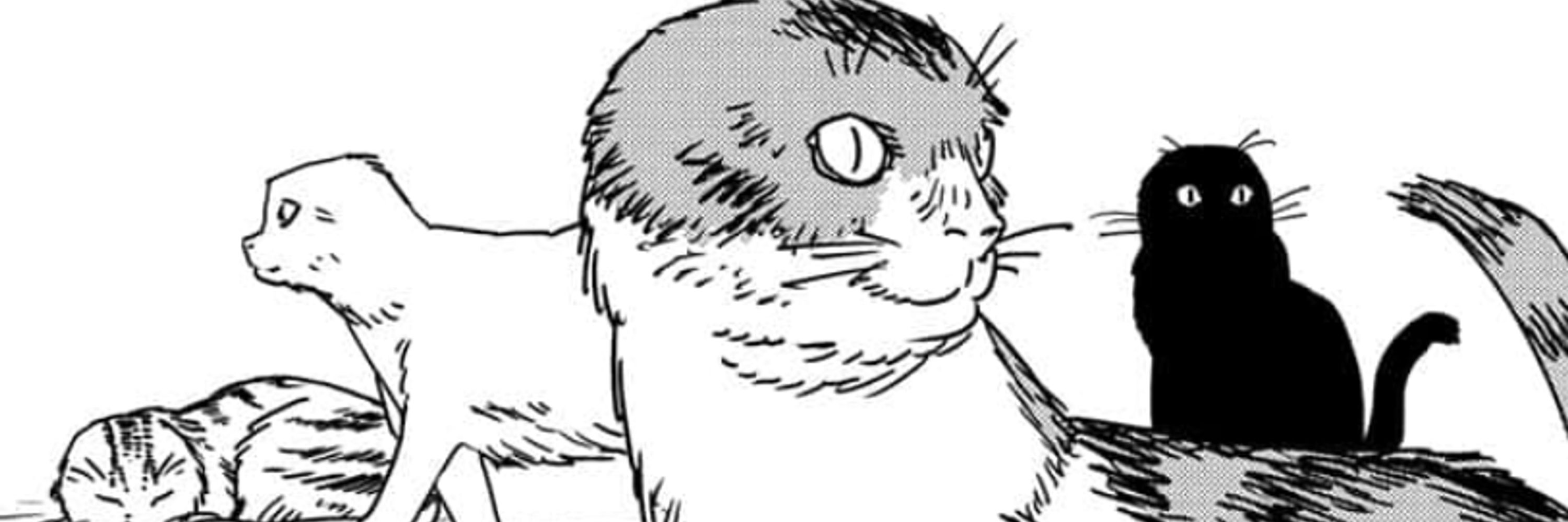 ioncewasacat