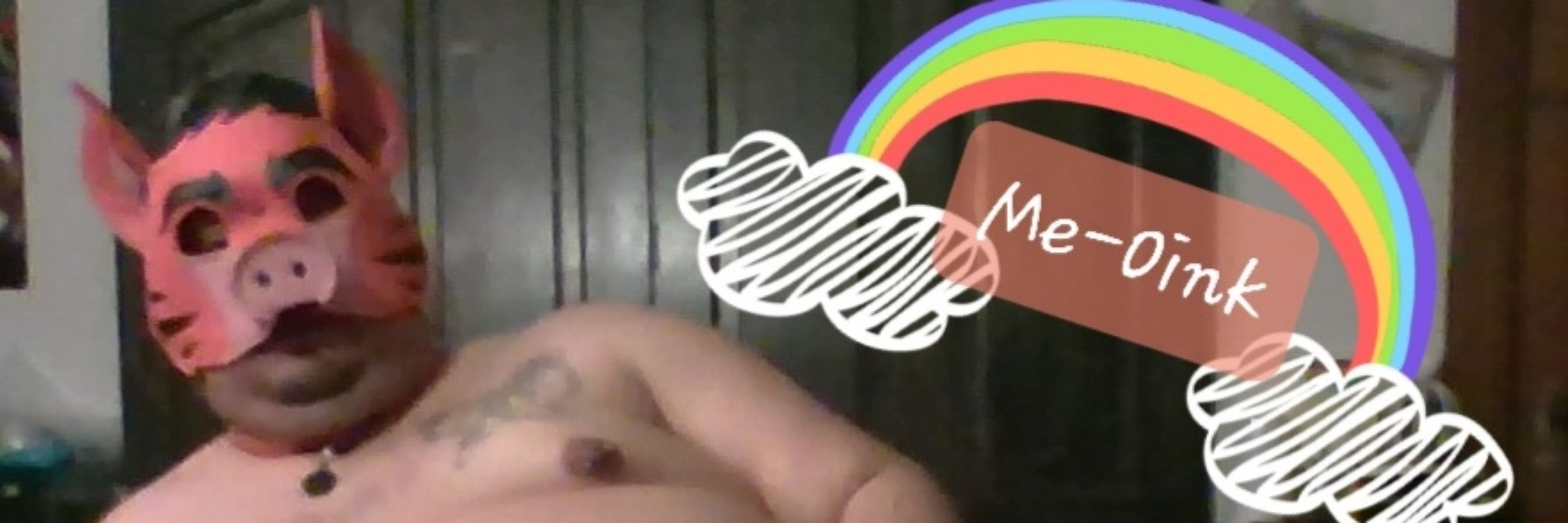 Gaynerpig 