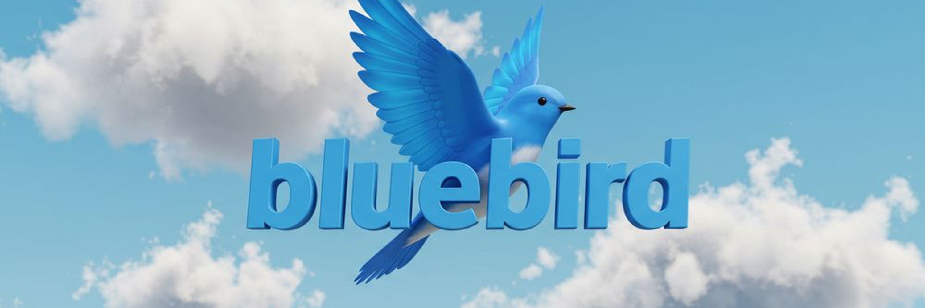 🐦 Bluebird 🐦