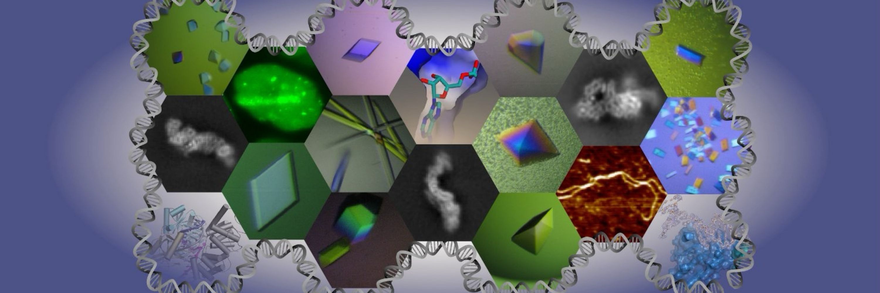 Scott Williams lab