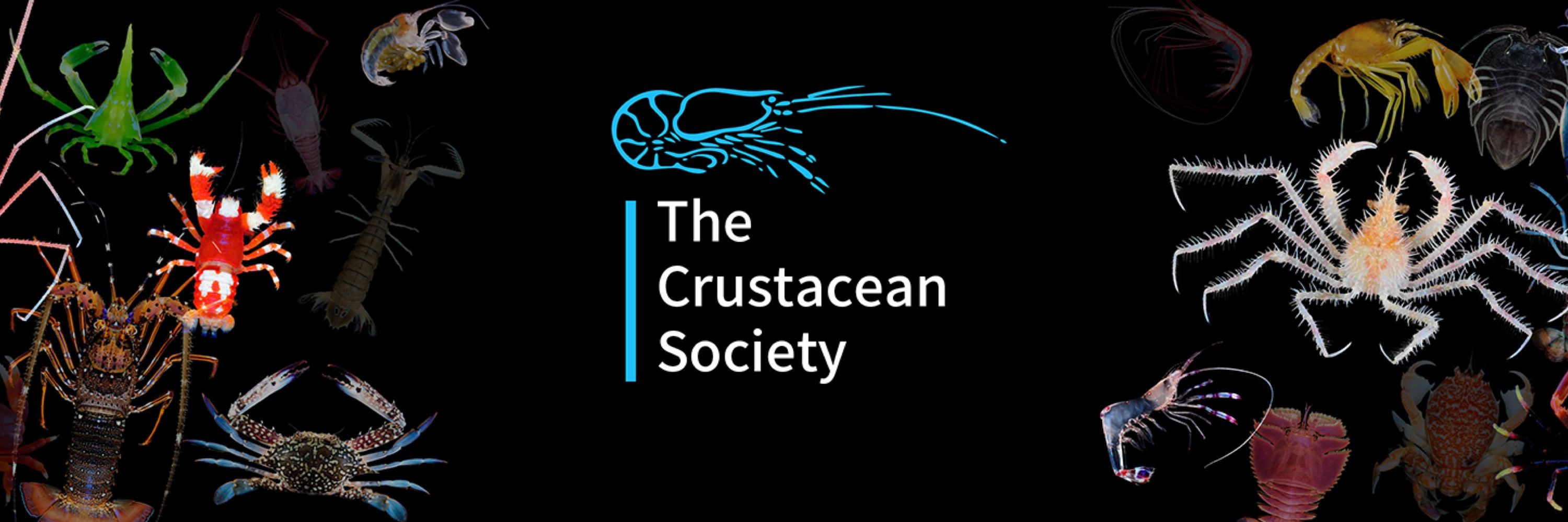 The Crustacean Society