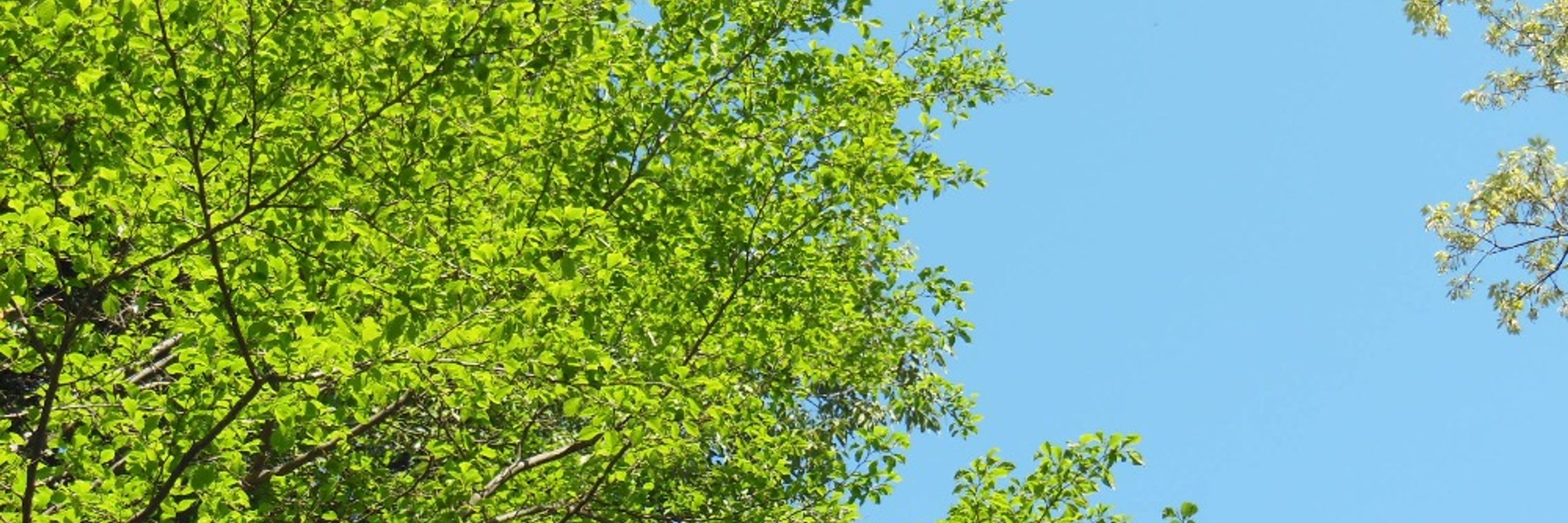 全国学習塾協同組合（公式）