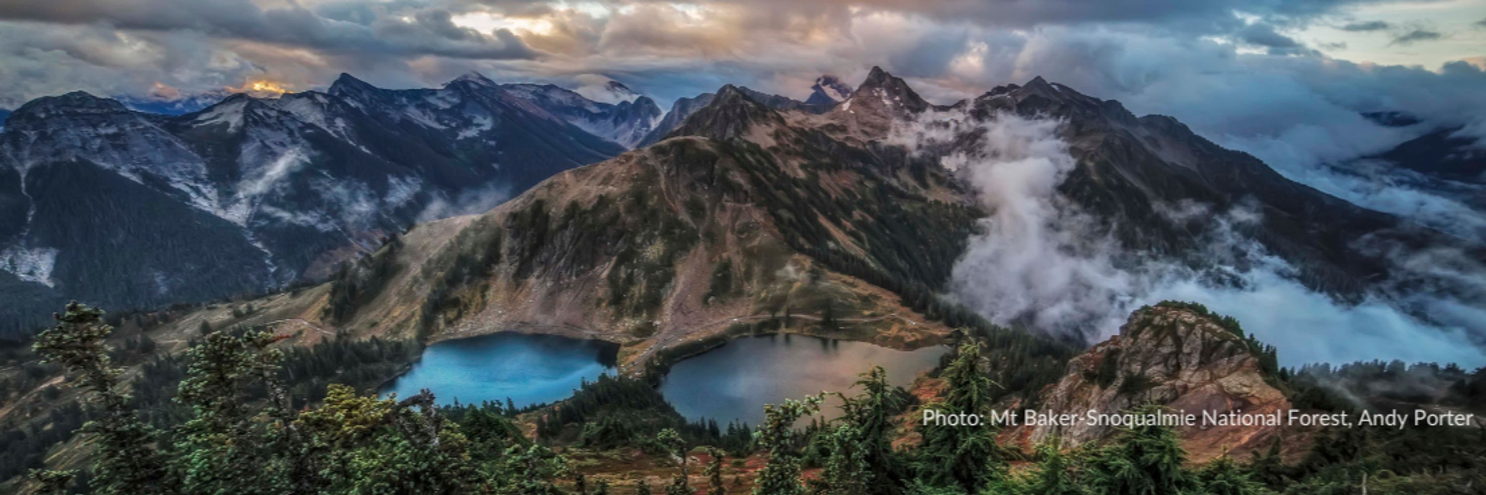 Washington Wild