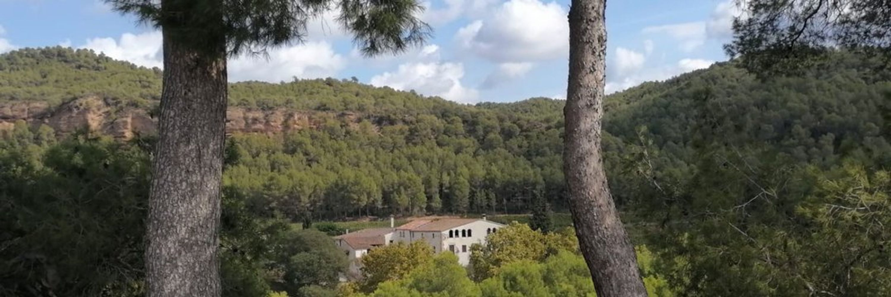 Can Ferrer del Coll