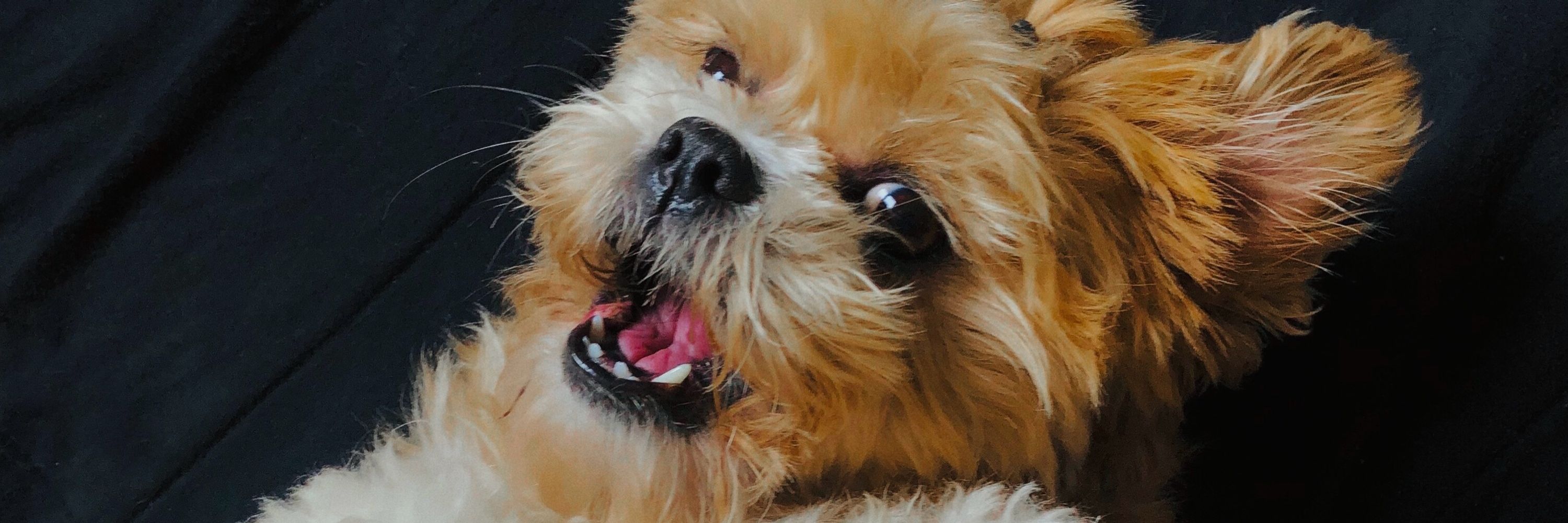helo