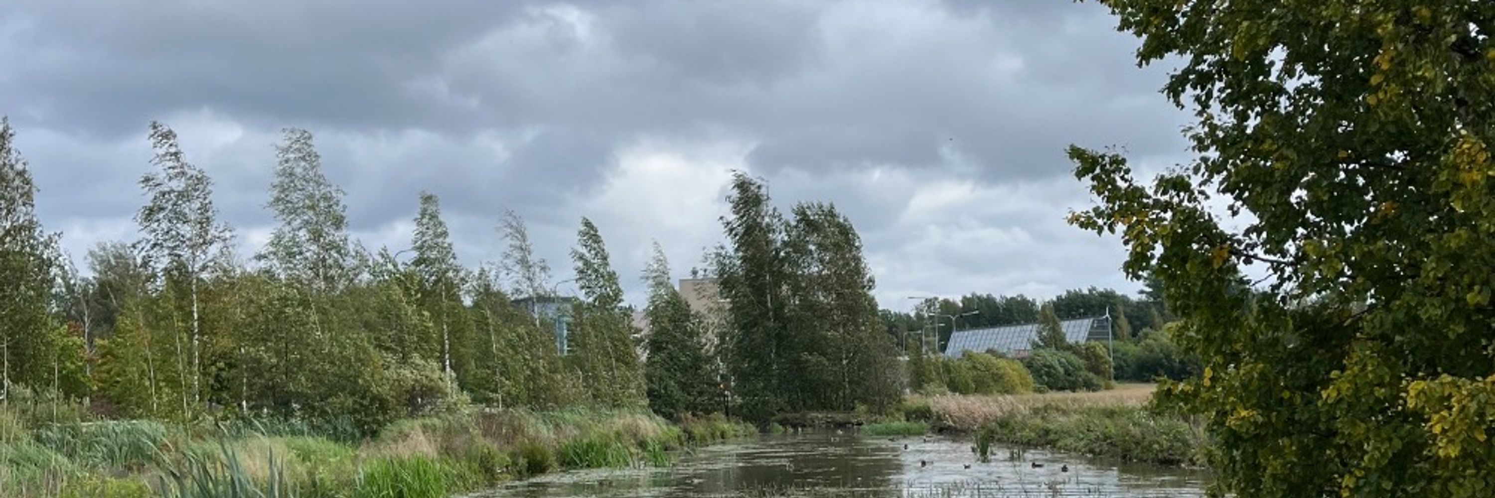 Avokaapo