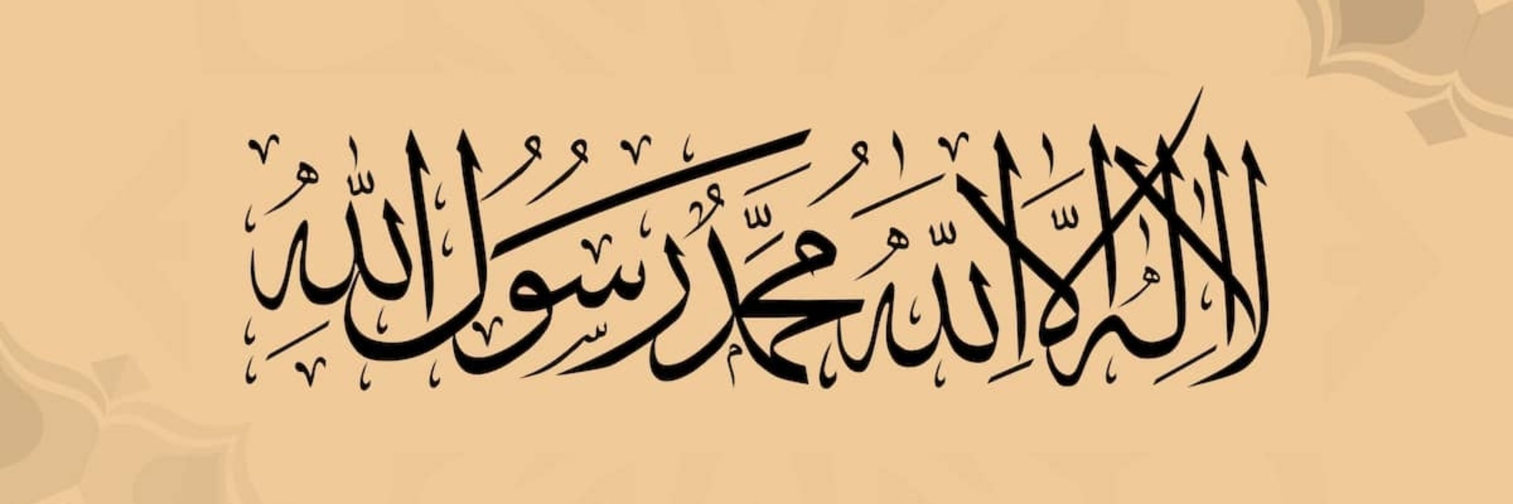 Ainam Ali
