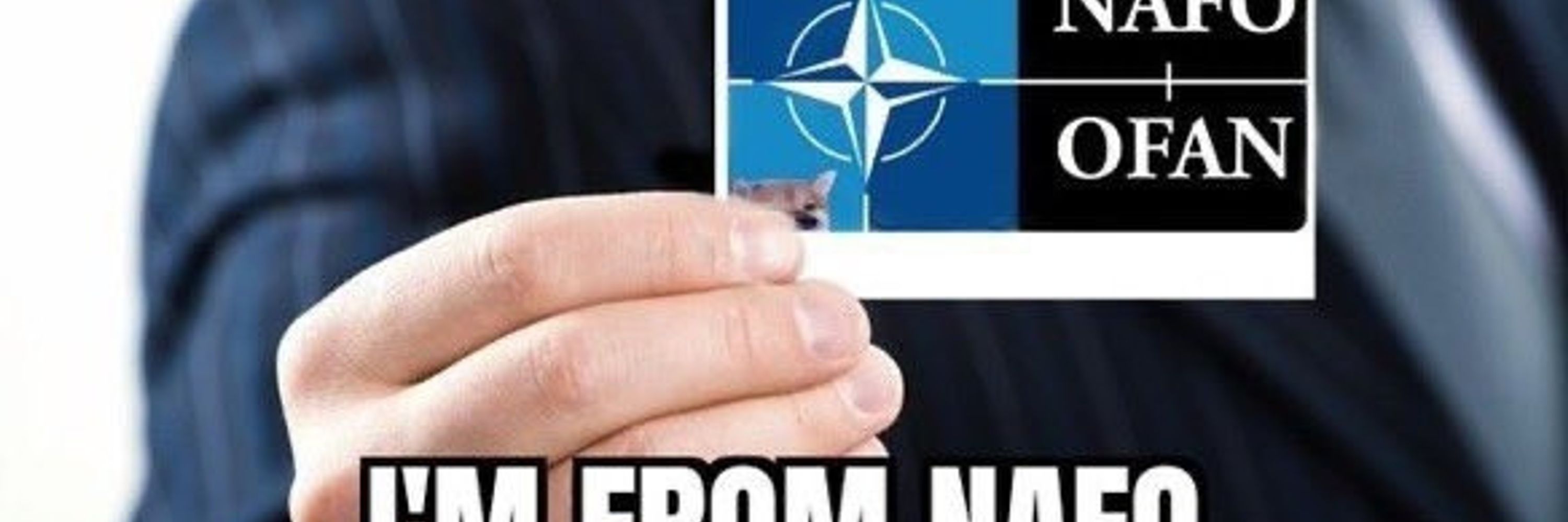 nev_fella
