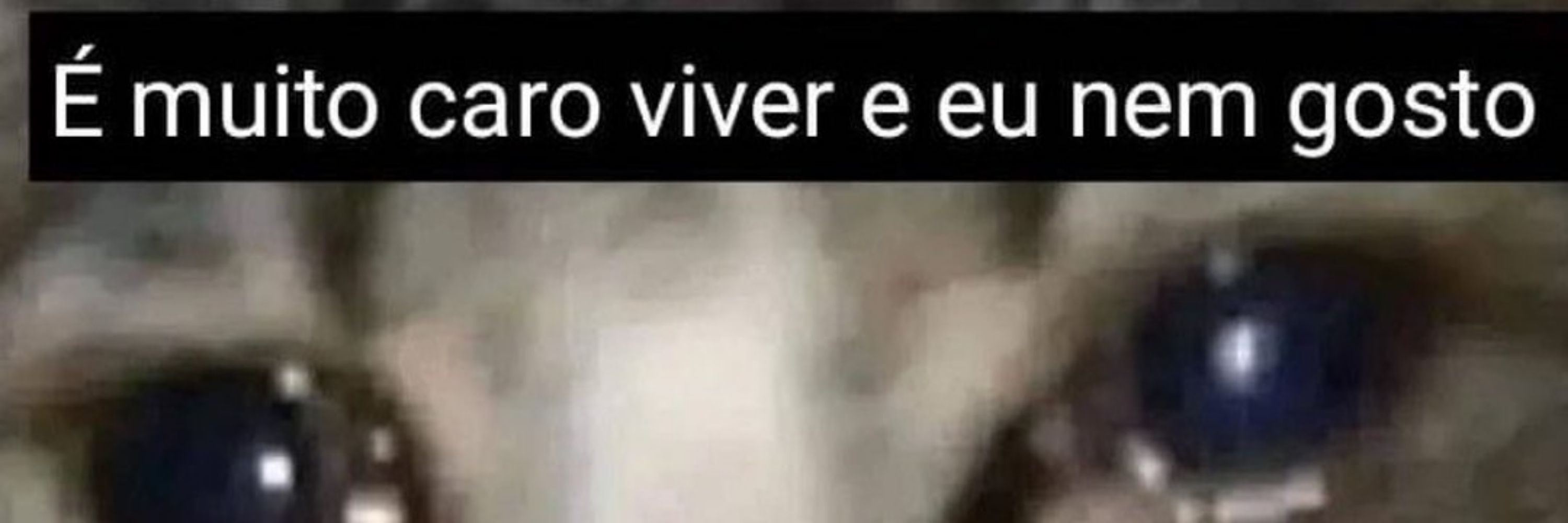 Jardim