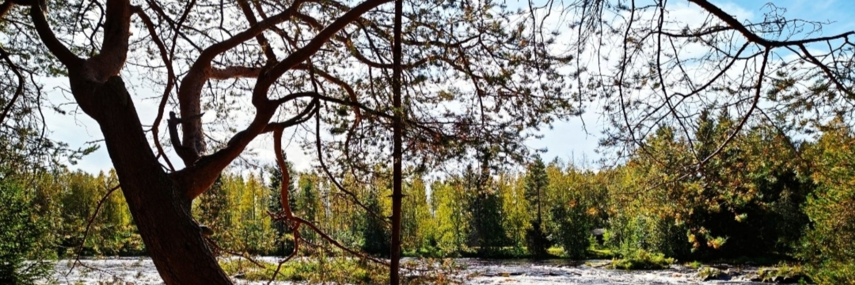 Jarkko Keto 