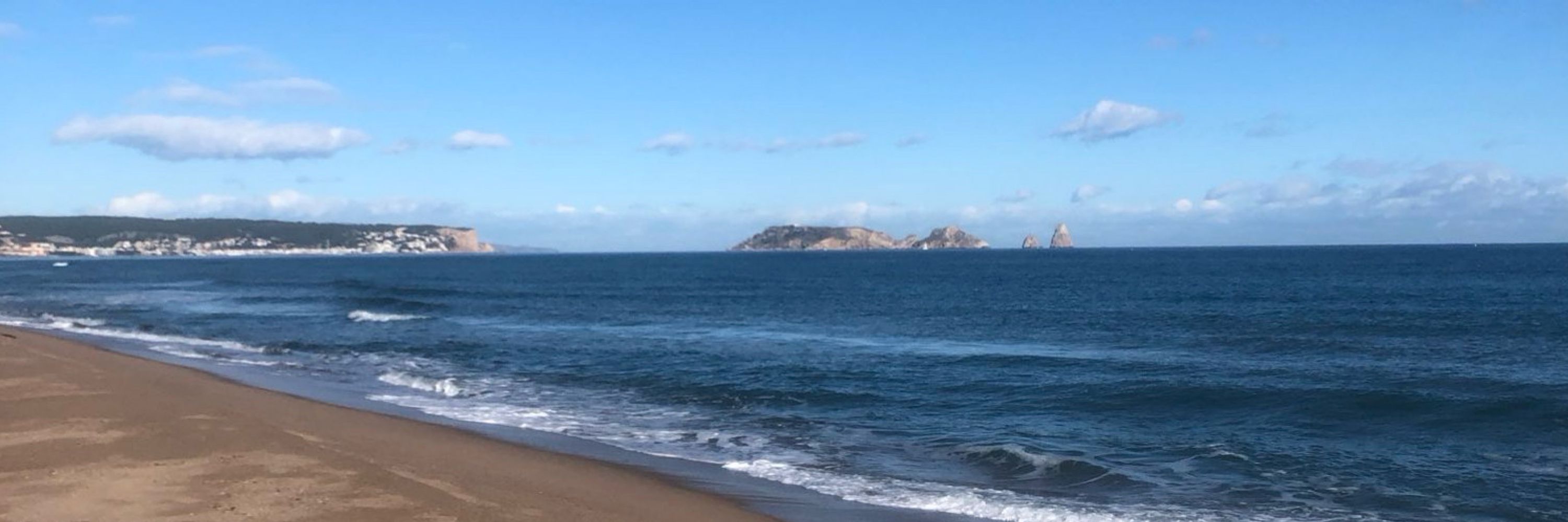 Xavier Martí i Torrent