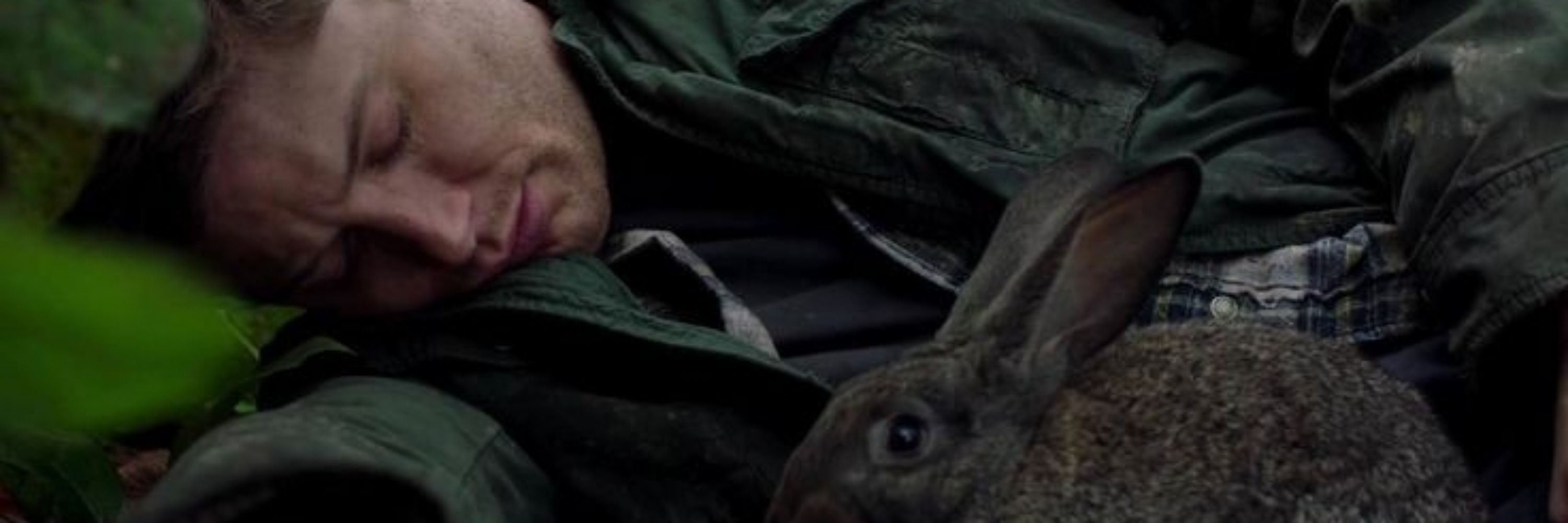 comfort for dean stans