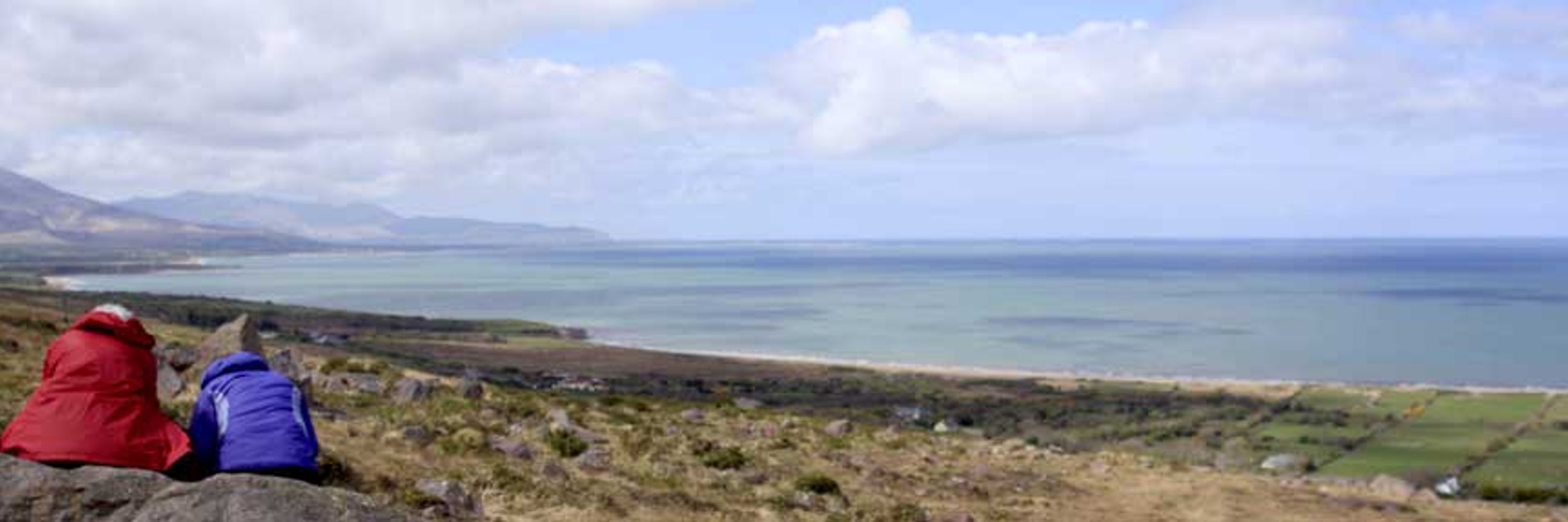 Kerry Camino