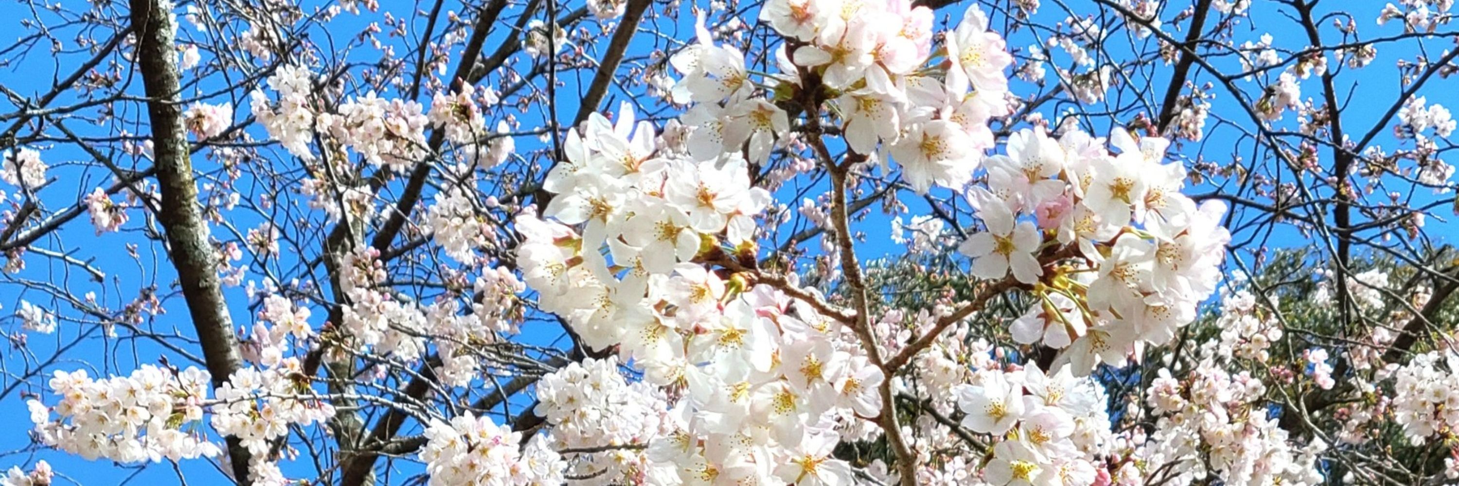 ちょて
