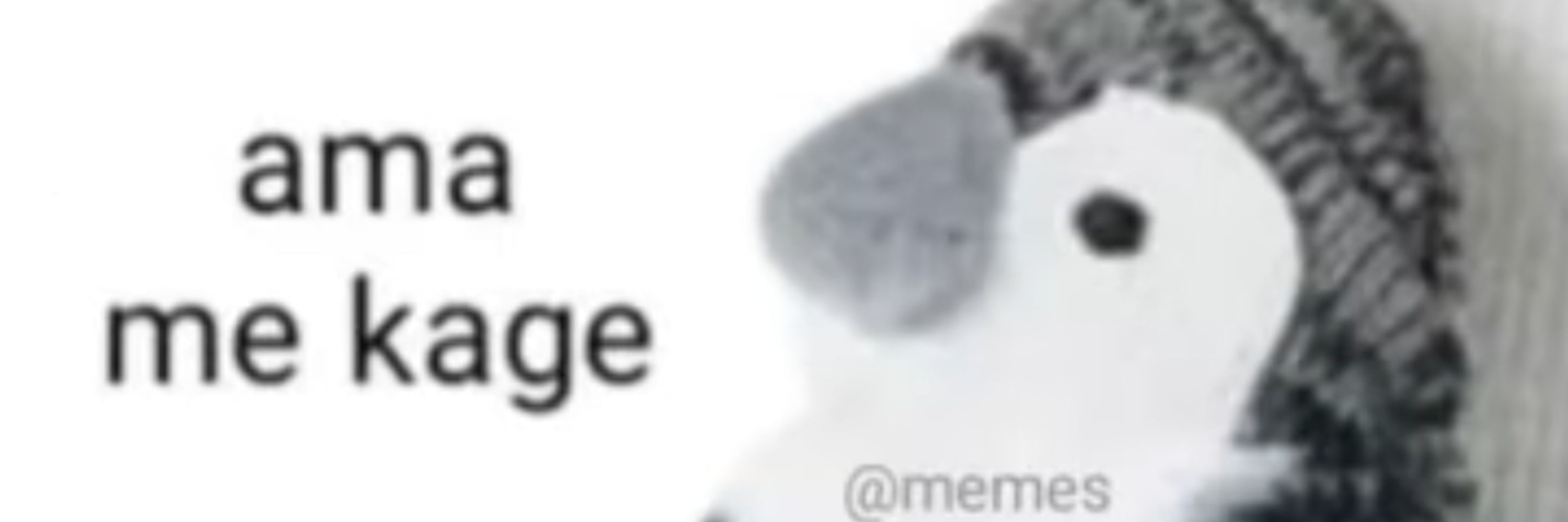 Kbotas