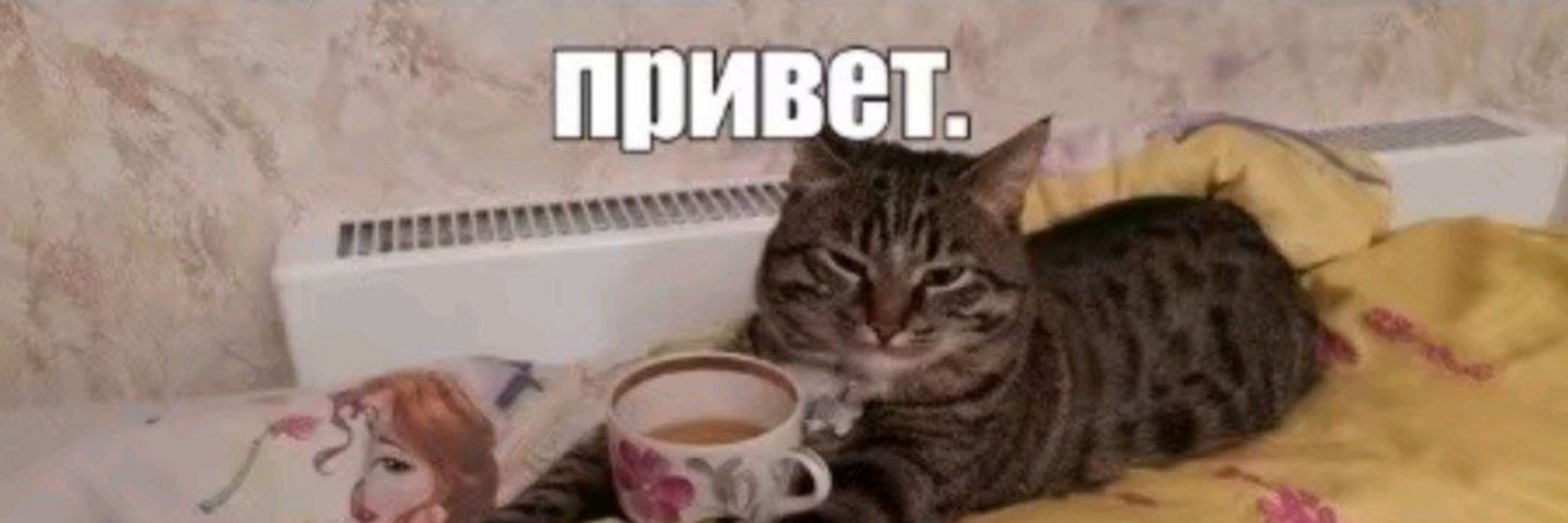 аня башкортостан