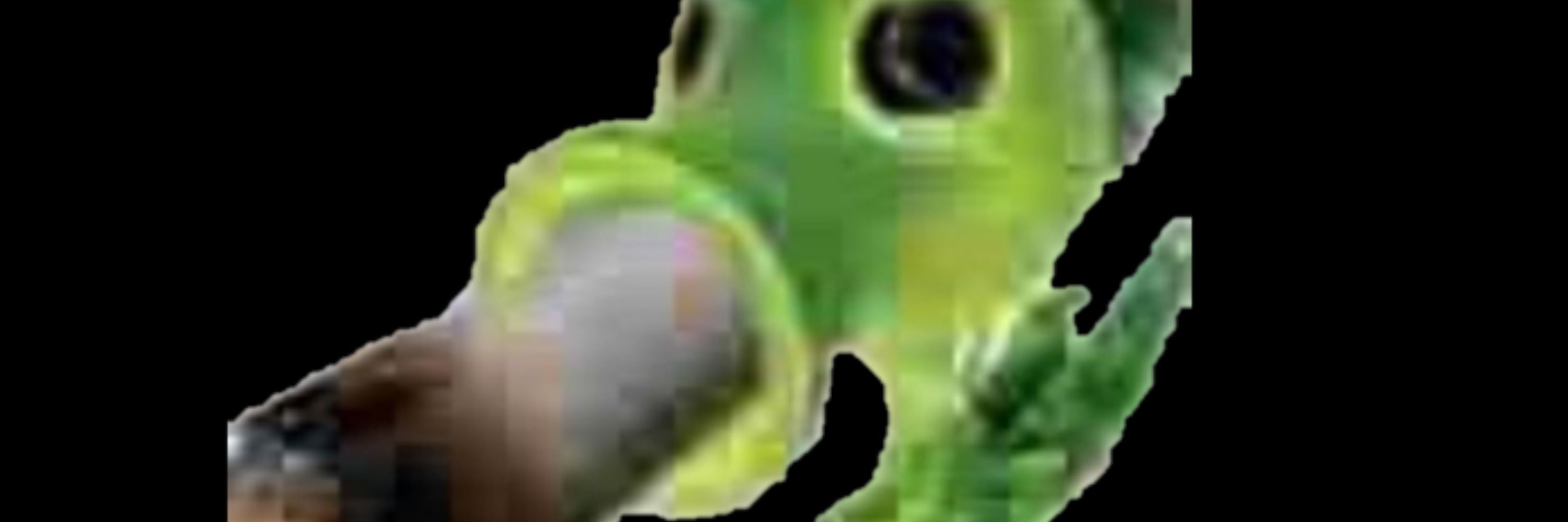 dedodobirin