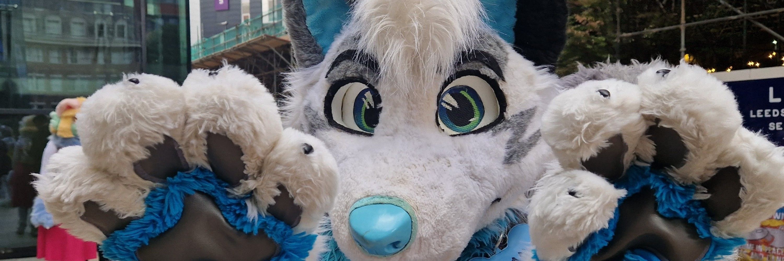 AlanDragonWolf