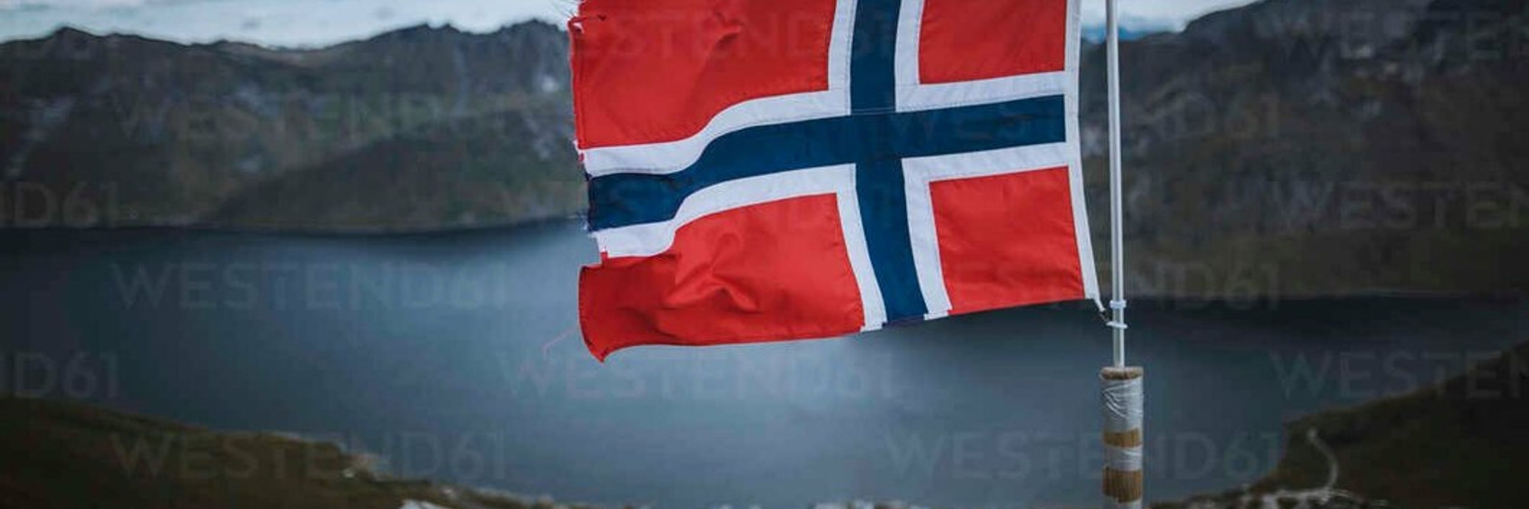 Knut 🏳️‍🌈 🇳🇴🧸