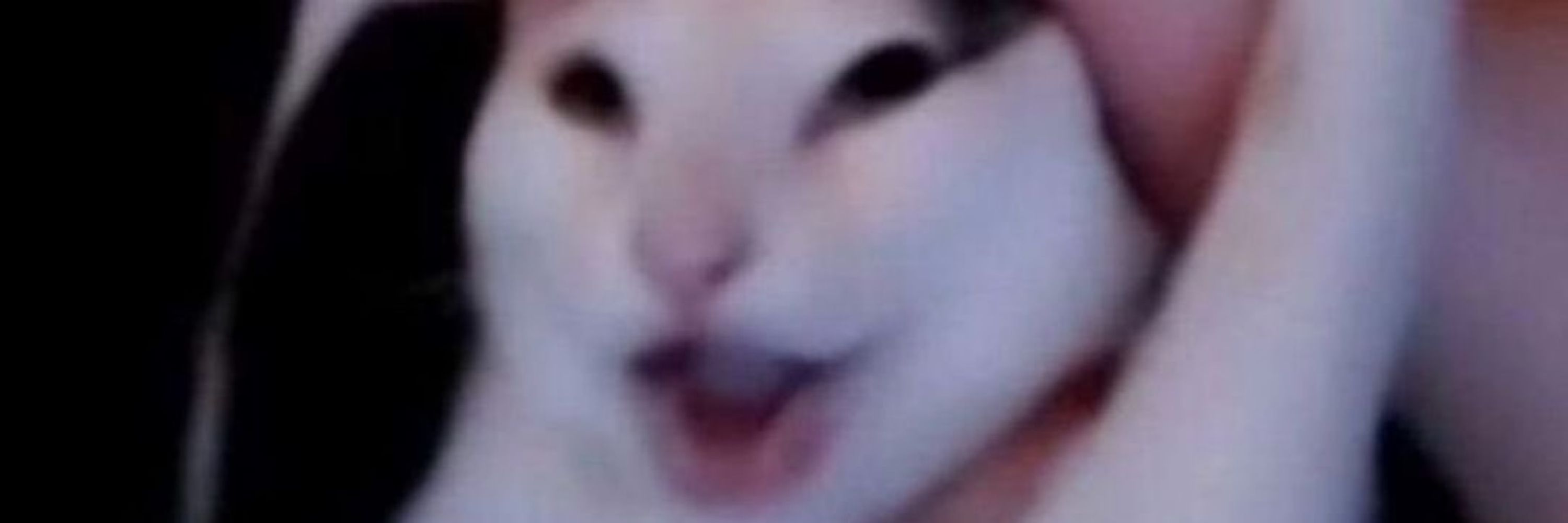 ⟡ Forrest ⟡