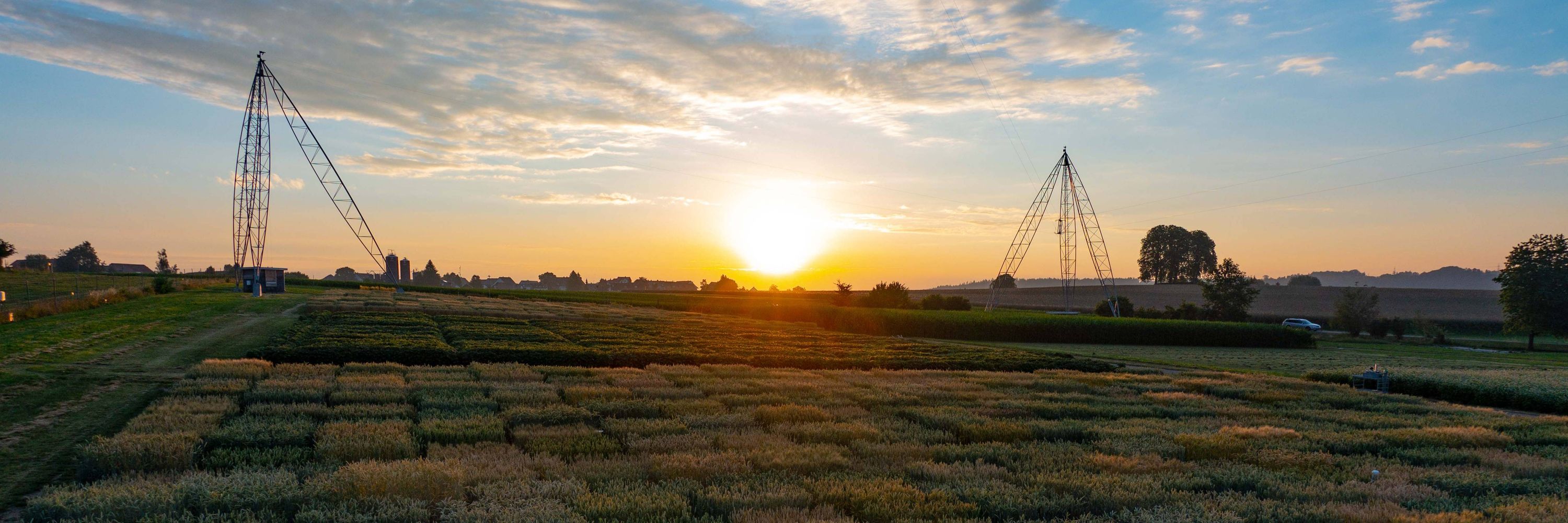 International Plant Phenotyping Network