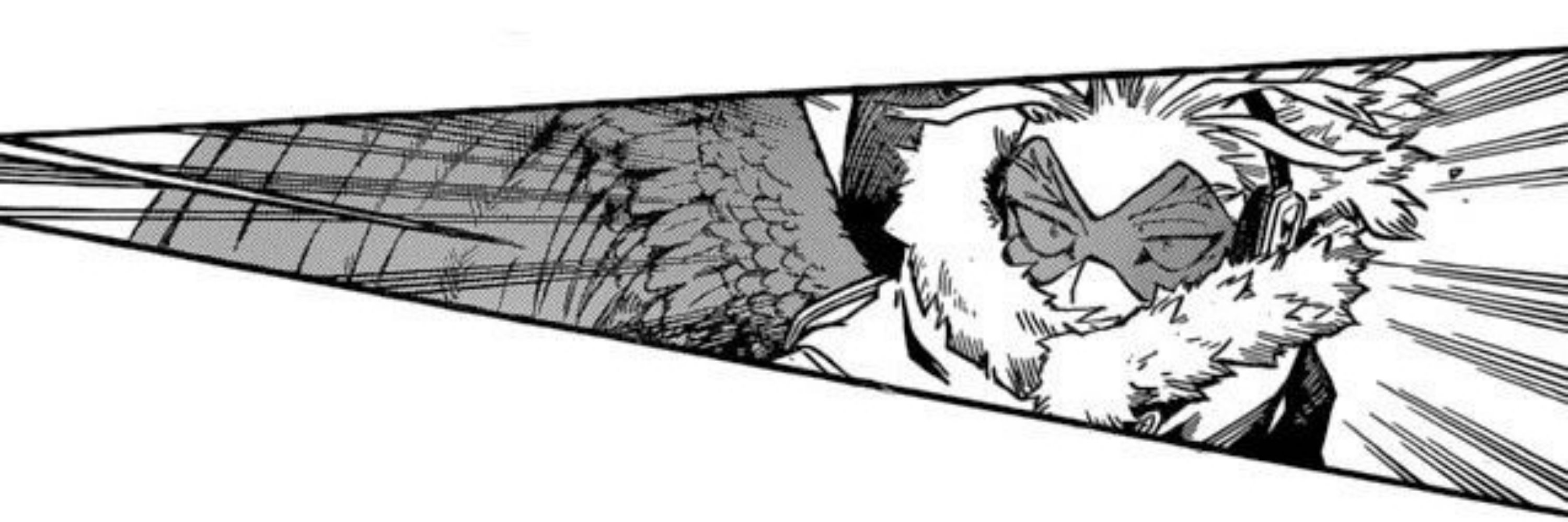 ✩┊»The #2, Hawks!«┊𓆩...𓆪