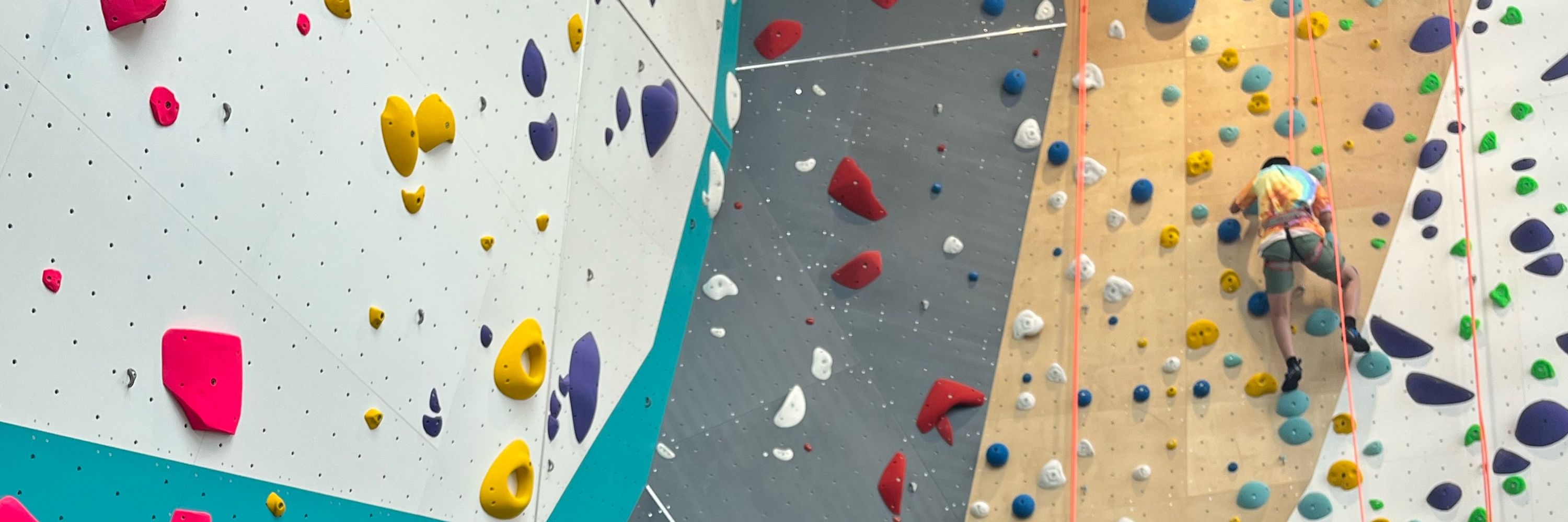 Clava- software for climbing gyms