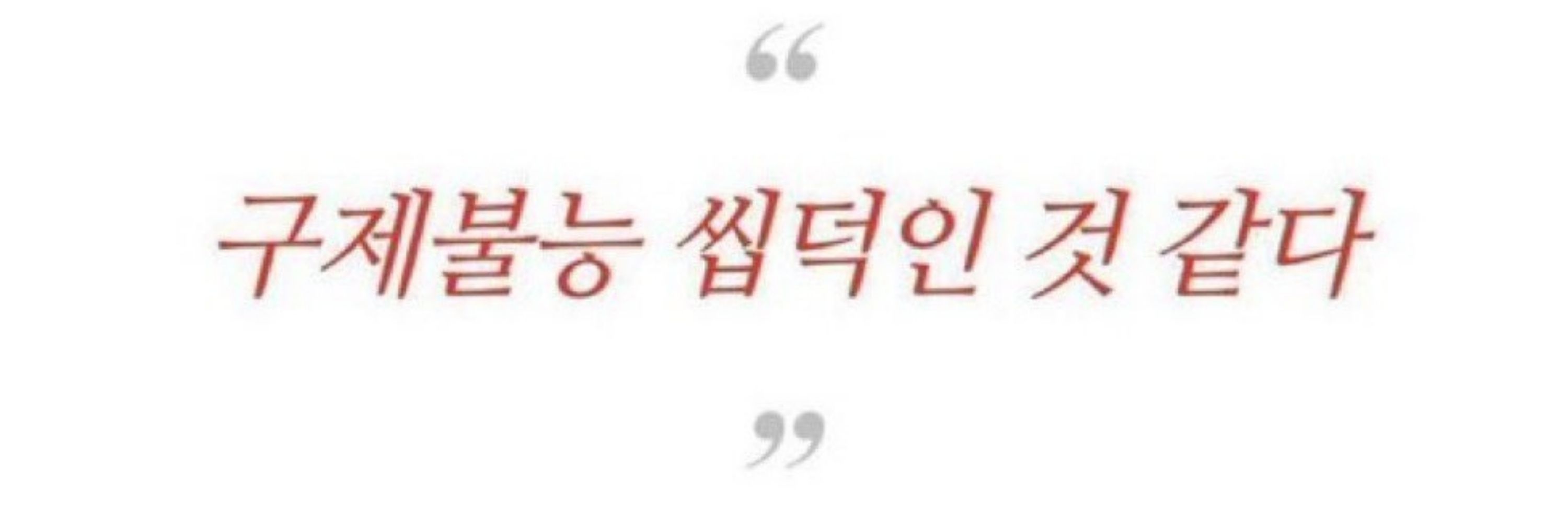 쌀