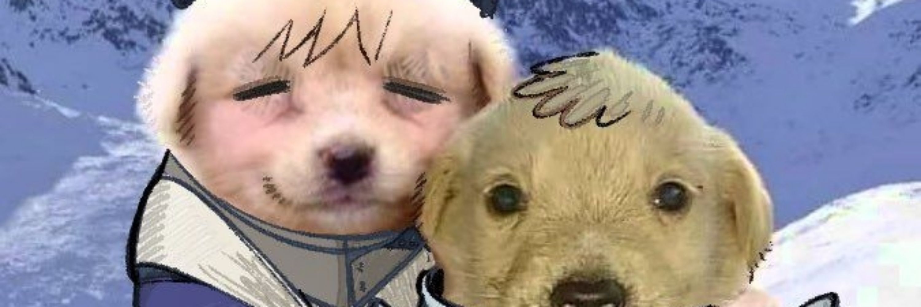 gatomaconha from x