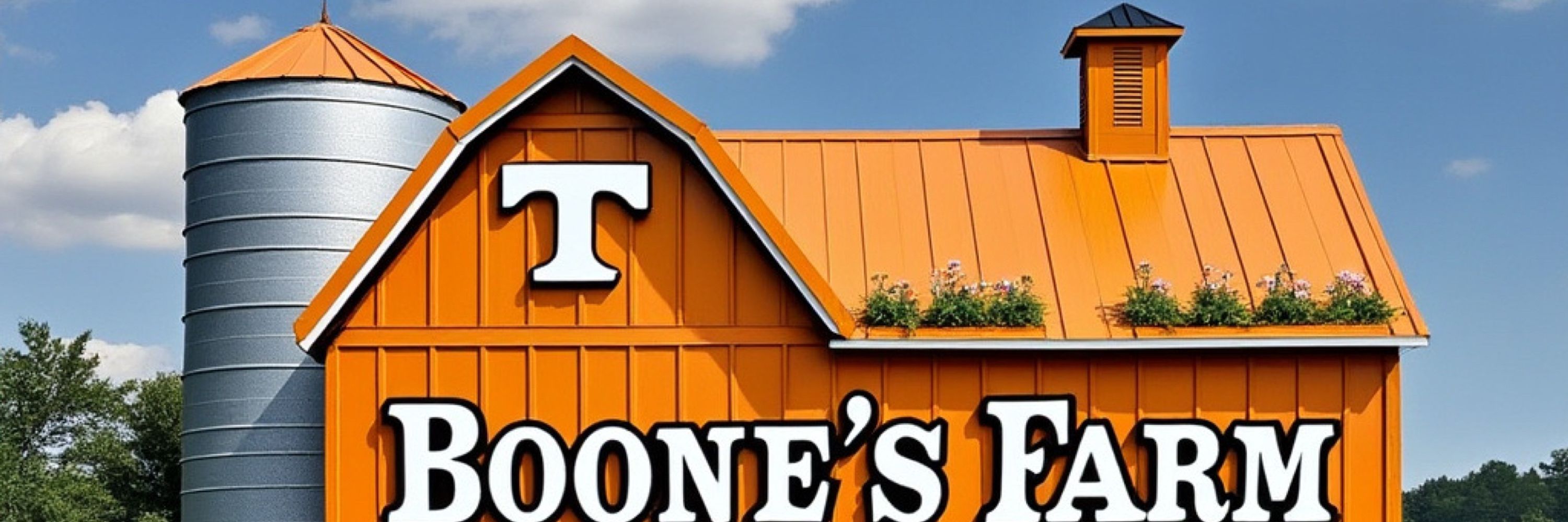 Boone’s Farm 🪙