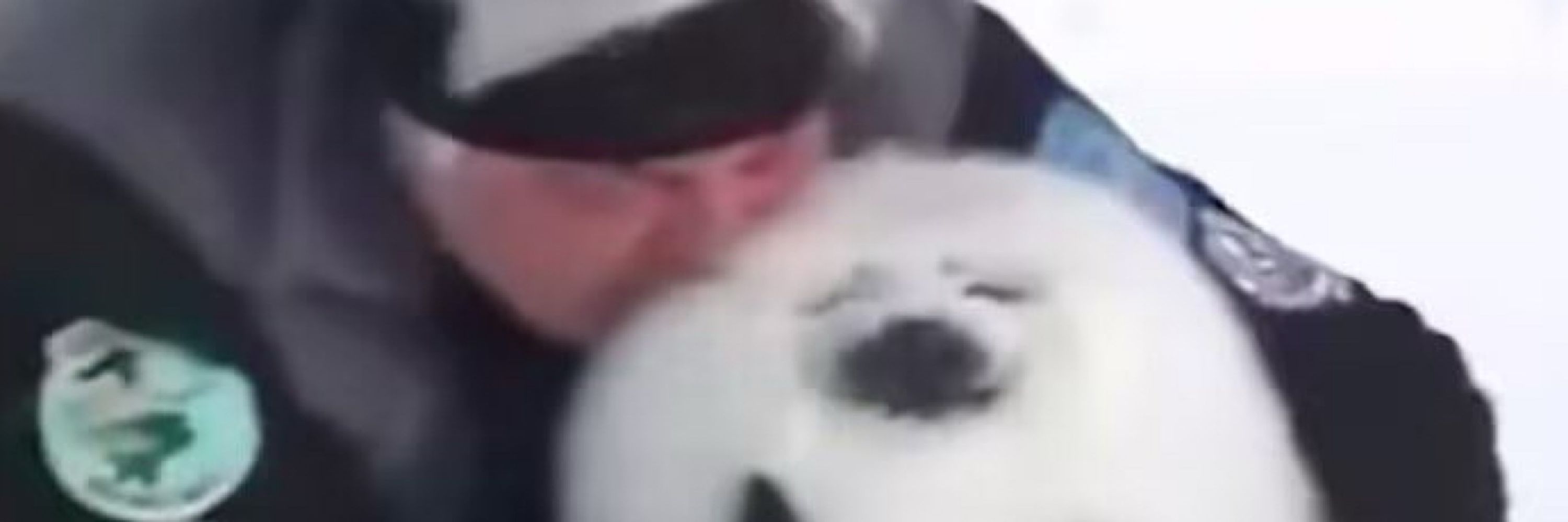Deki