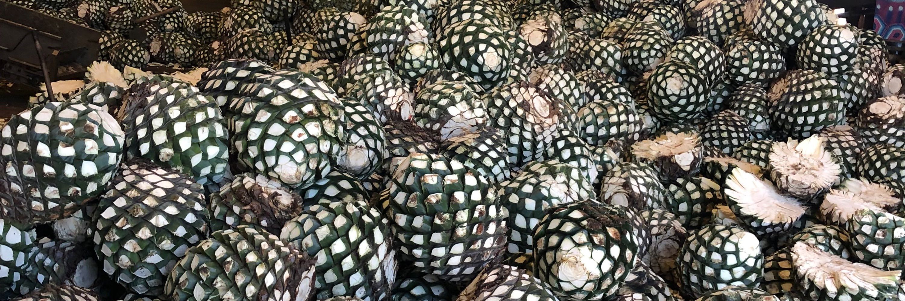 Tequila Tracker