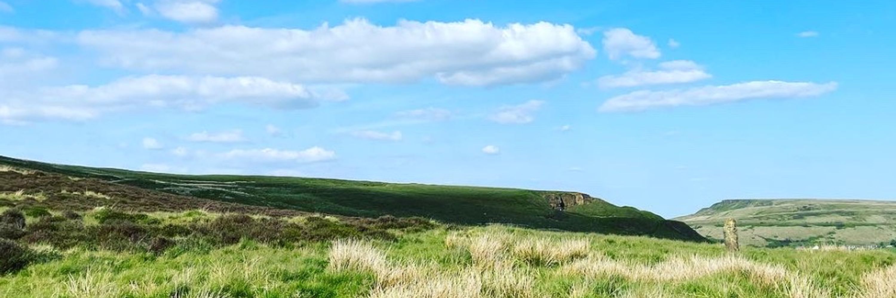 Chris Doyle (Doylie)