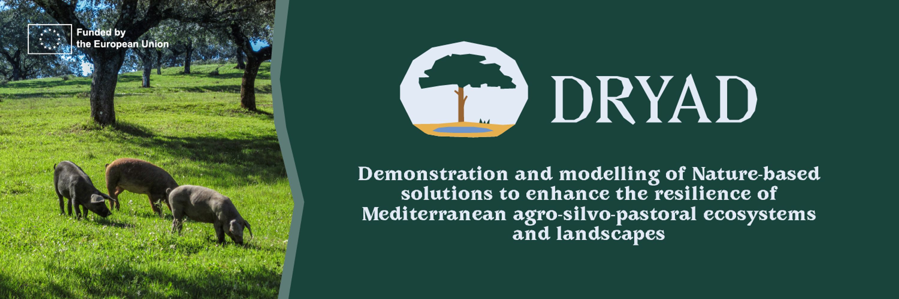 Dryad project
